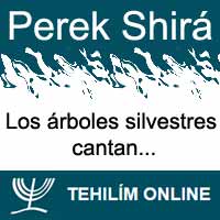 Perek Shirá : Los árboles silvestres cantan