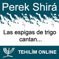 Perek Shirá : Las espigas de trigo cantan