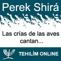 Perek Shirá : Las crías de las aves cantan